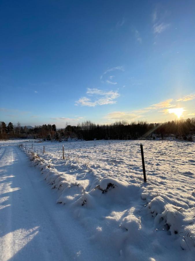 Bialett * Järvsö