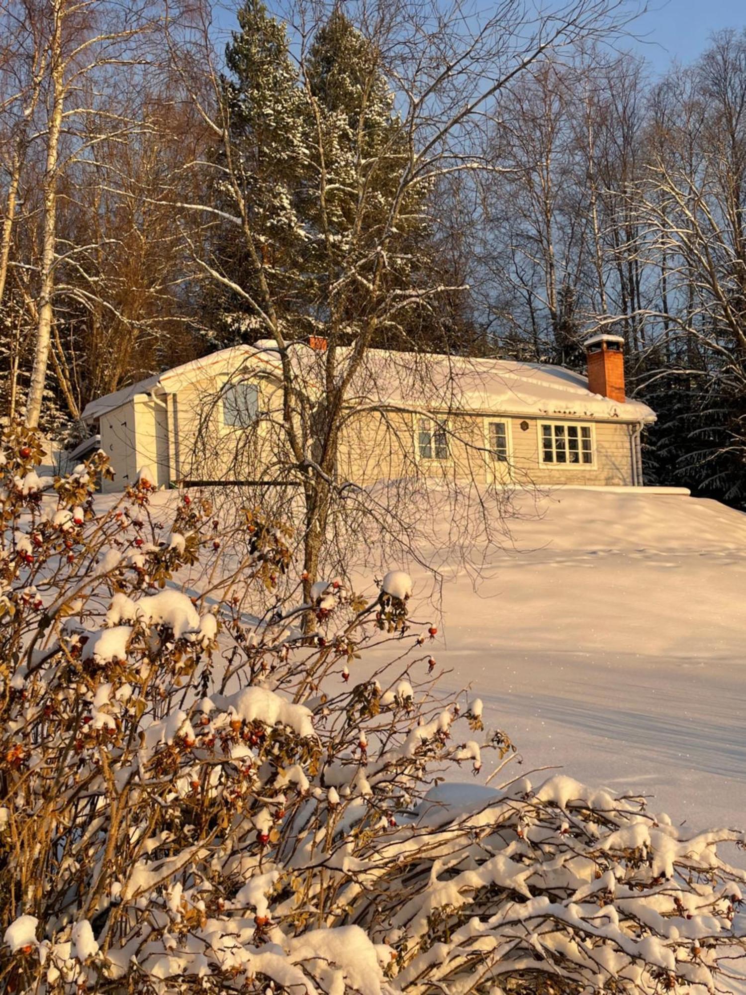 Bialett Järvsö